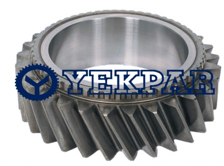 Gear 29T