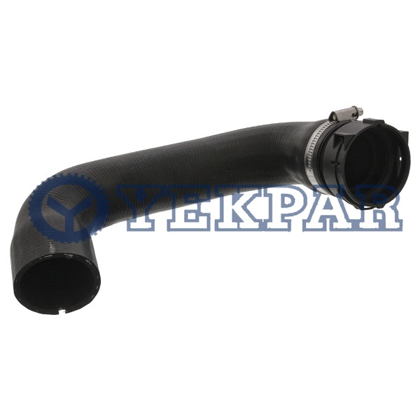 Radiator hose 