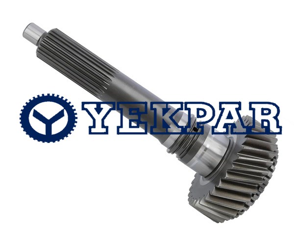 Input shaft