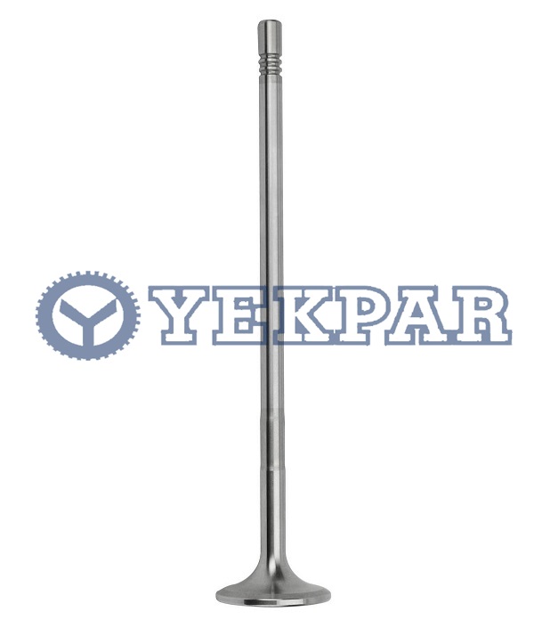 Intake valve  D9