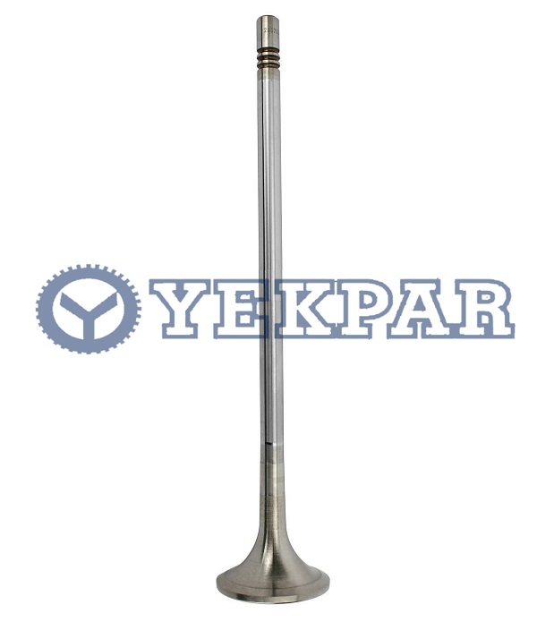 Exhaust valve D9 