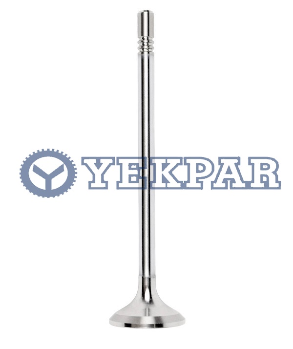 Exhaust valve B7/FL FE
