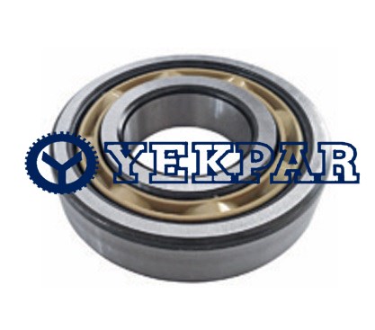 Roller bearing 