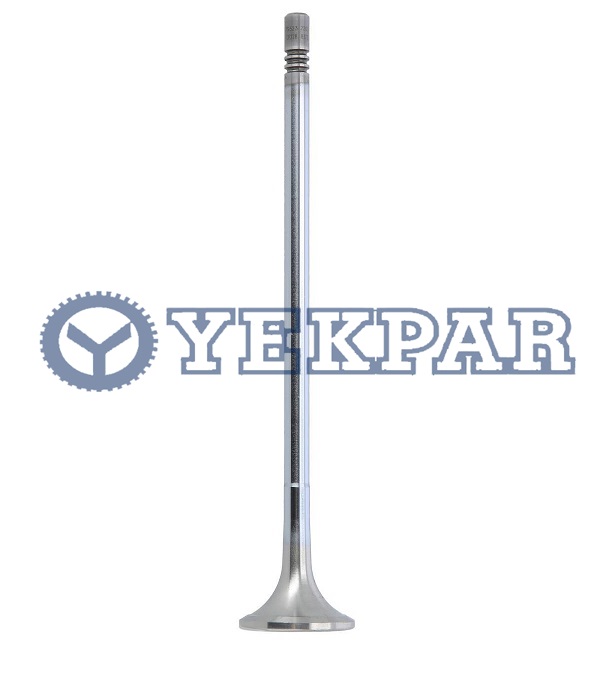 Exhaust valve FM9 