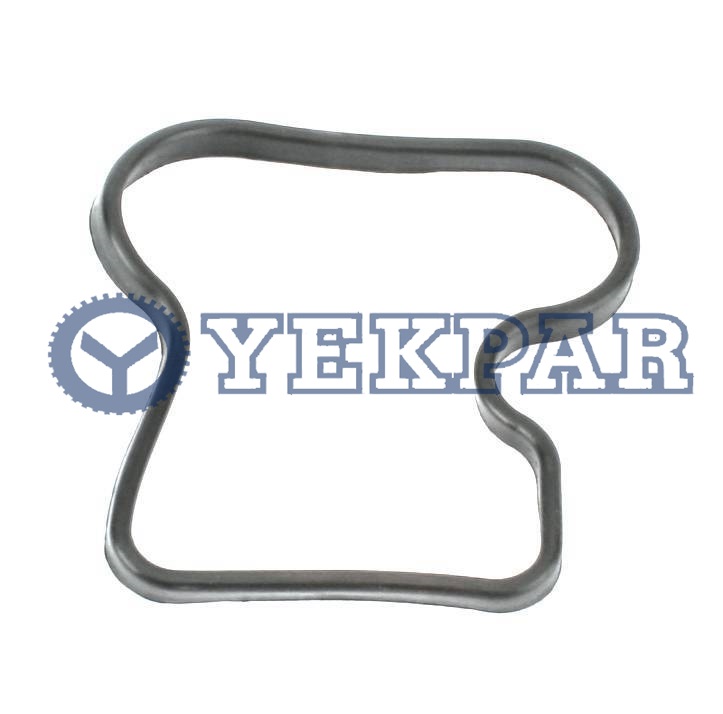Valve cover gasket DS9