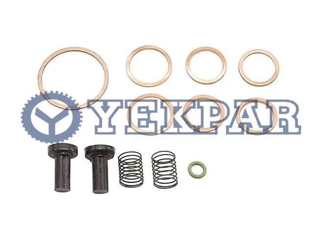 Repair kit, feed pump 